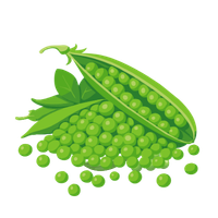 Piselli